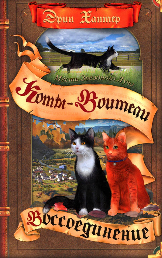 Коты-воители. Месть Звездного Луча. Воссоединение