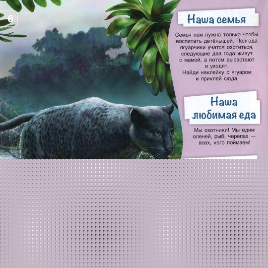 Познакомимся поближе! Жители джунглей