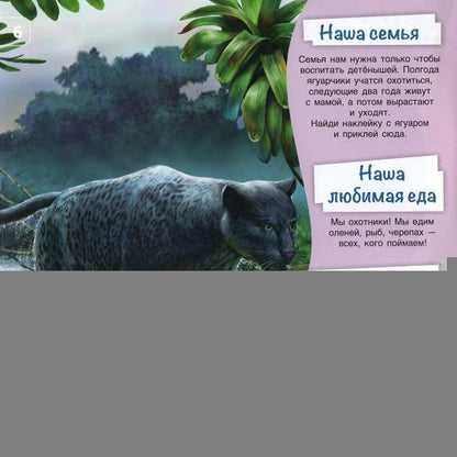 Познакомимся поближе! Жители джунглей