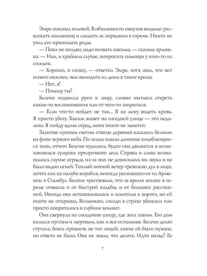 Неподкупная любовь. Книга 2