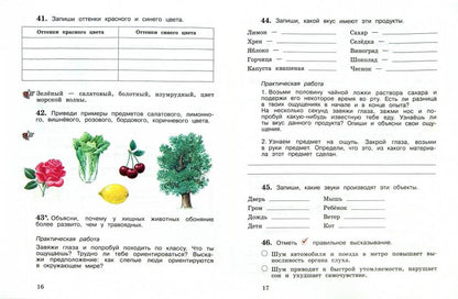 Окружающий мир. 4 кл. Рабочая тетрадь №1.