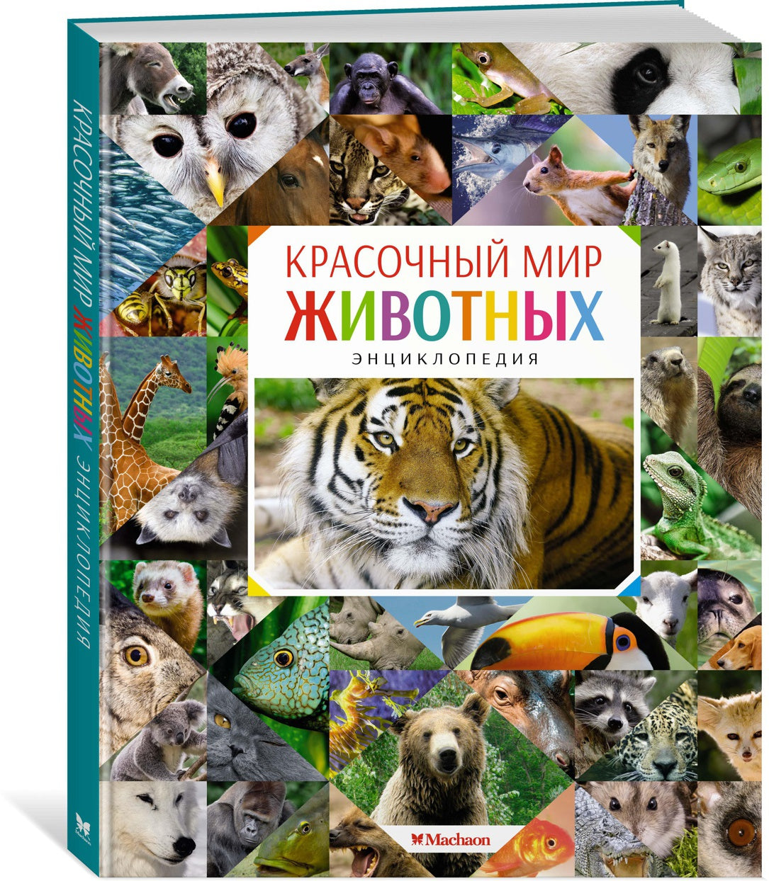 Красочный мир животных. Энциклопедия