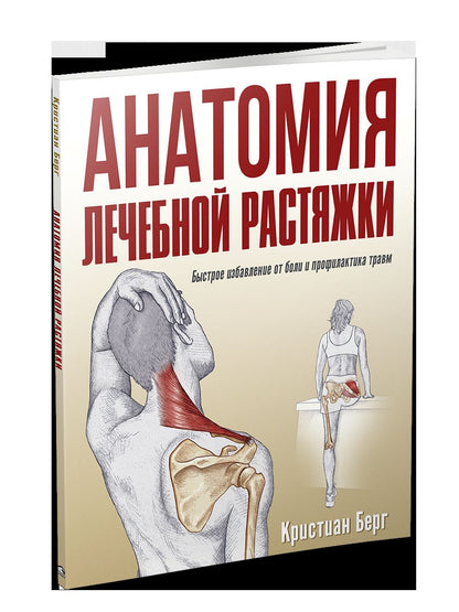 Anatomie du corps humain : définition complète du métabolisme et du profil de course