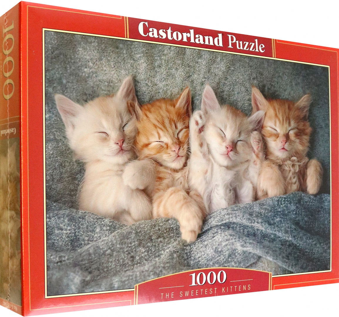 Détails du colis CastorLand 1000