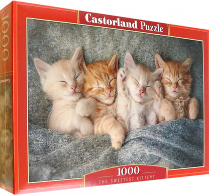 Détails du colis CastorLand 1000