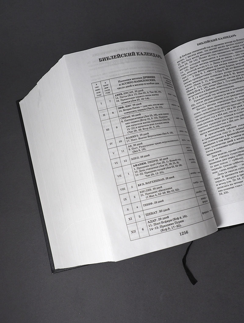 Библия. Книги Священного Писания Ветхого и Нового Завета. Серебряная серия