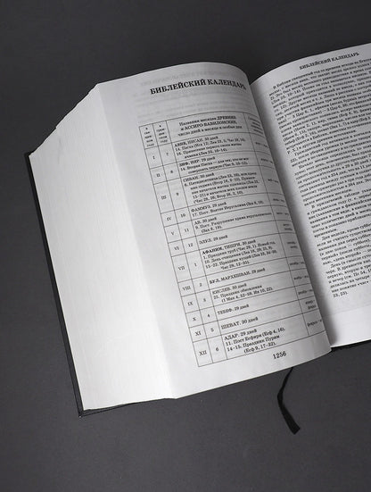 Библия. Книги Священного Писания Ветхого и Нового Завета. Серебряная серия