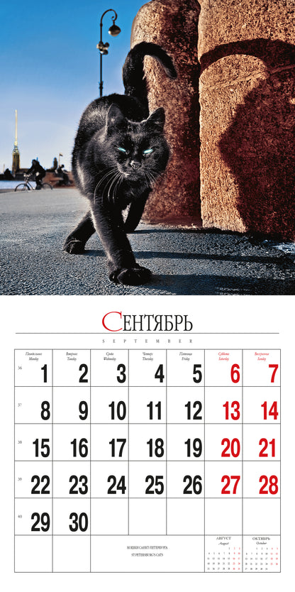 Календарь на скрепке (КР10) на 2025 год Кошки Петербурга [КР10-25088]