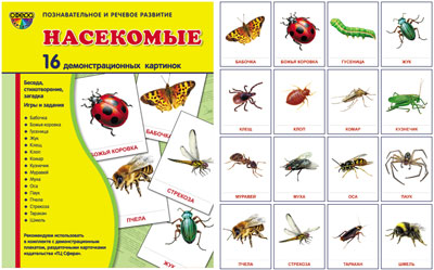 Démonstrateur. Cartes "Насекомые" (173х220мм)