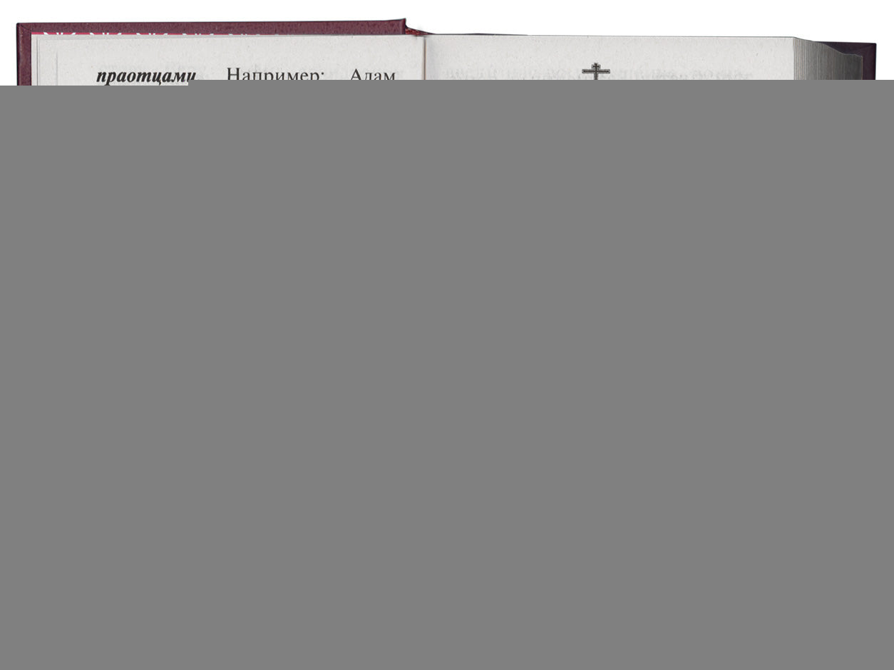 Молитвослов Православного христианина (золот.тиснен.). Coût. Дудкин Е.И.