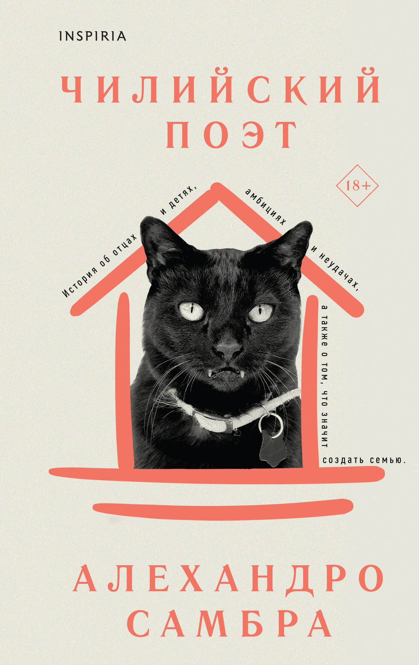 Chat tchilienne