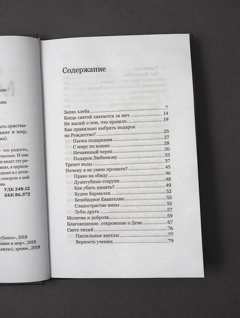 На руках у Бога. О радости быть христианином