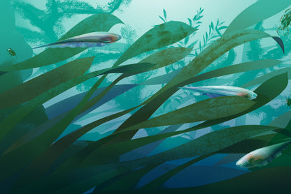 36.АлК.Электрические рыбы (12+)