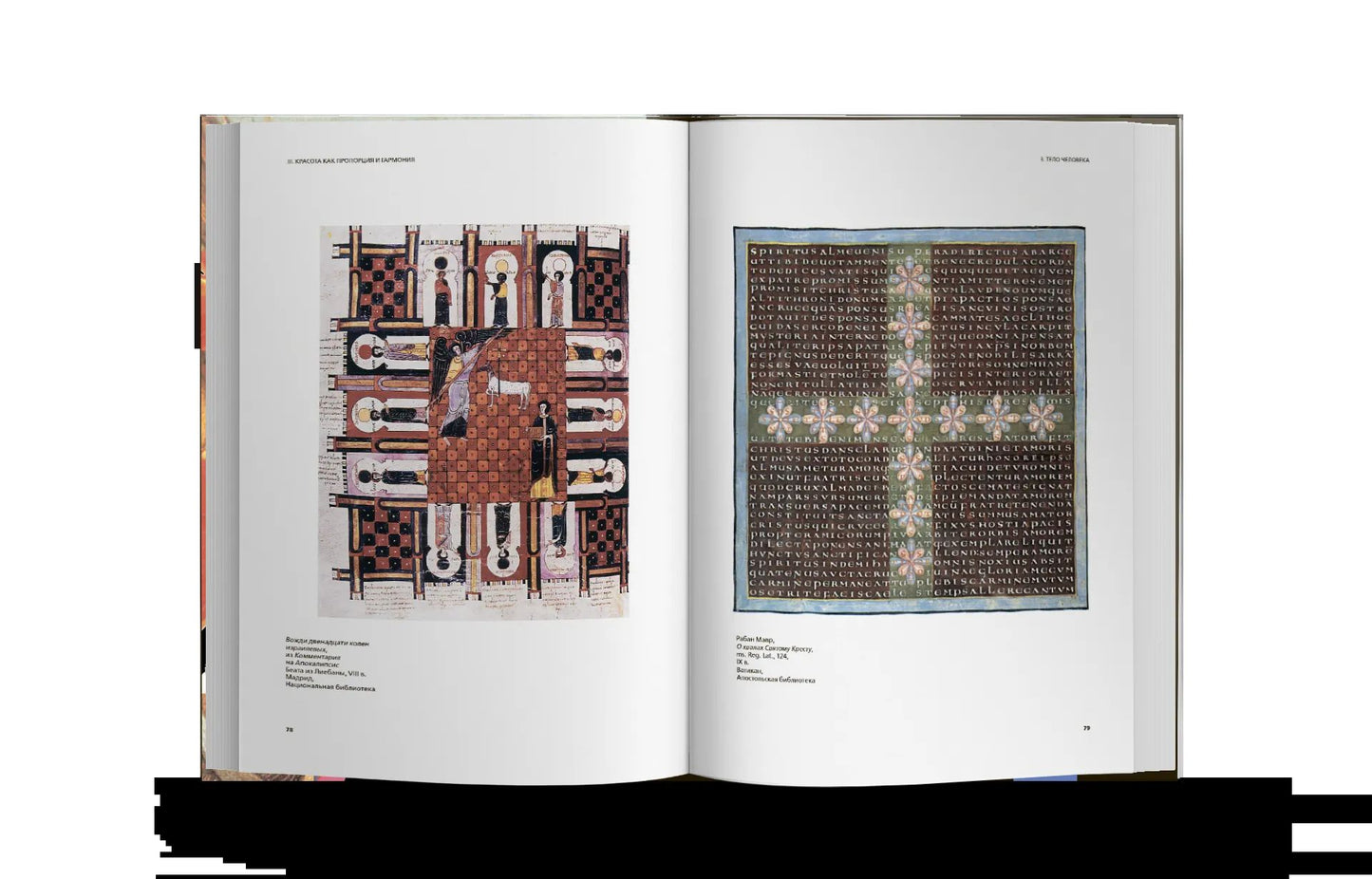 Histoire des crânes