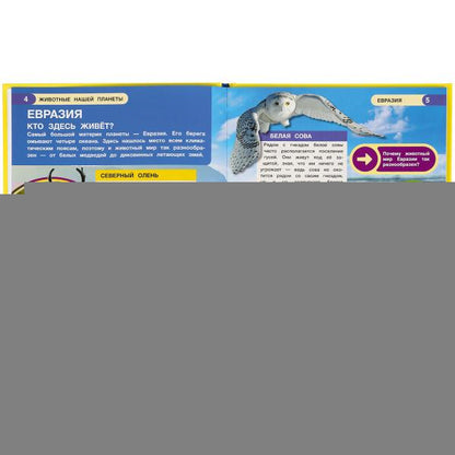 Животные нашей планеты. Энциклопедия малыша А4. 197х255мм, 48 стр.мелов. бумага Умка в кор.15шт