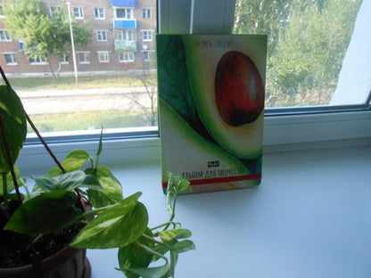 MyArt. АЛЬБОМ ДЛЯ ТВОРЧЕСТВА. АВОКАДО-4