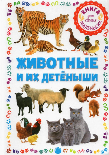 Votre bébé et vos enfants. Книга для самых маленьких