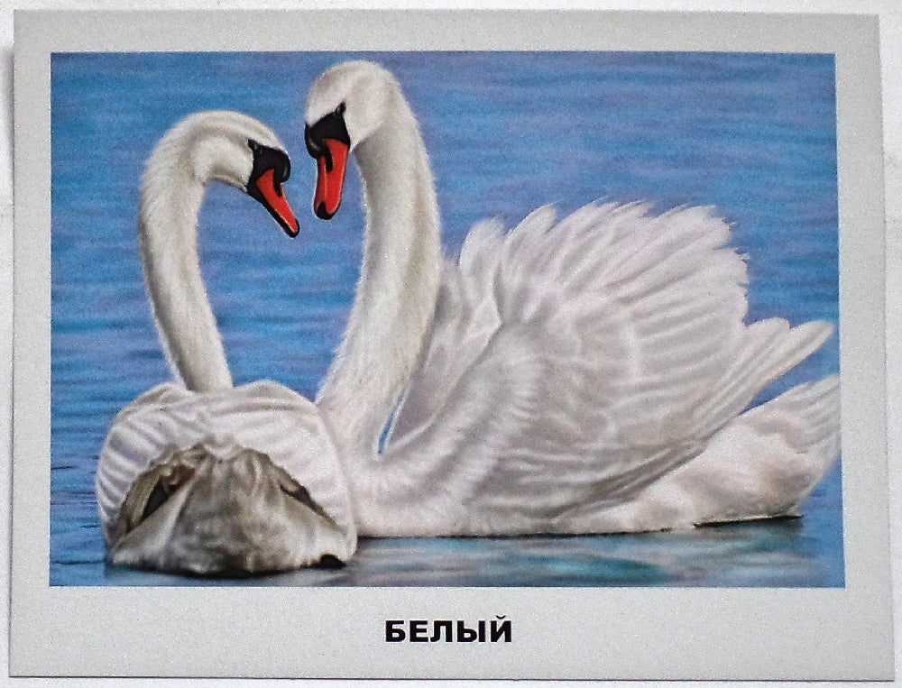 ОБУЧАЮЩИЕ КАРТОЧКИ. ЦВЕТА