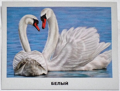 ОБУЧАЮЩИЕ КАРТОЧКИ. ЦВЕТА