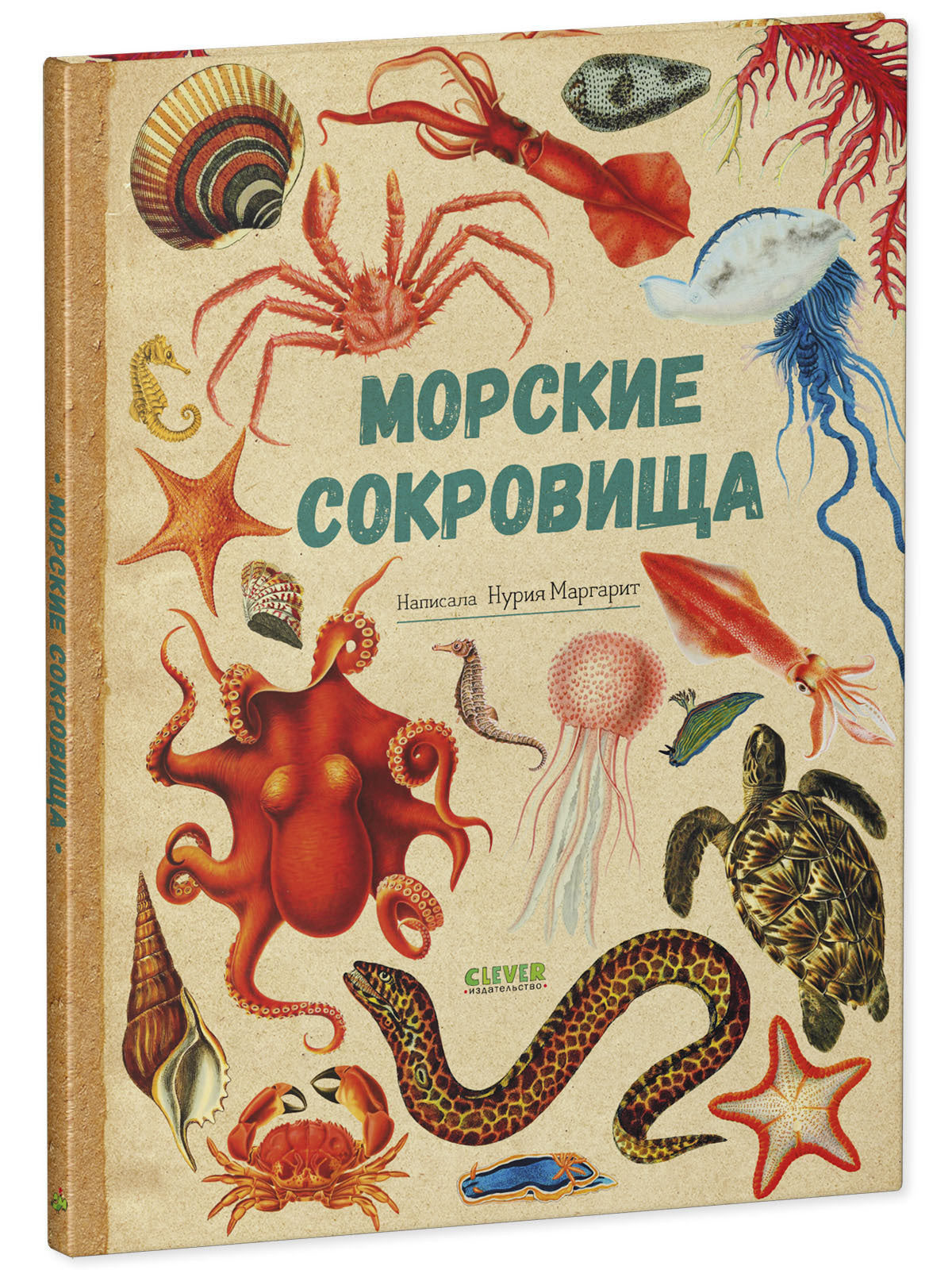Удивительные энциклопедии. Морские сокровища/Сория К.