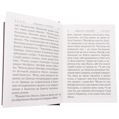 Новый Завет с выделенными словами Спасителя