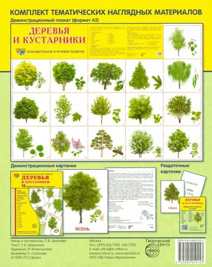 Démonstrateur. cartes "Деревья и кустарн" (173х220мм)