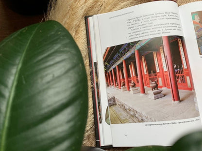 Духи и Божества китайской преисподней А.Г. Сторожук, Т.И. Корнильева, Е.А. Завидовская. - (Святые и демоны верованиях Востока).