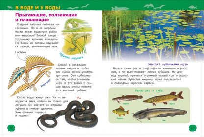 Животные России (Энциклопедия для детского сада)