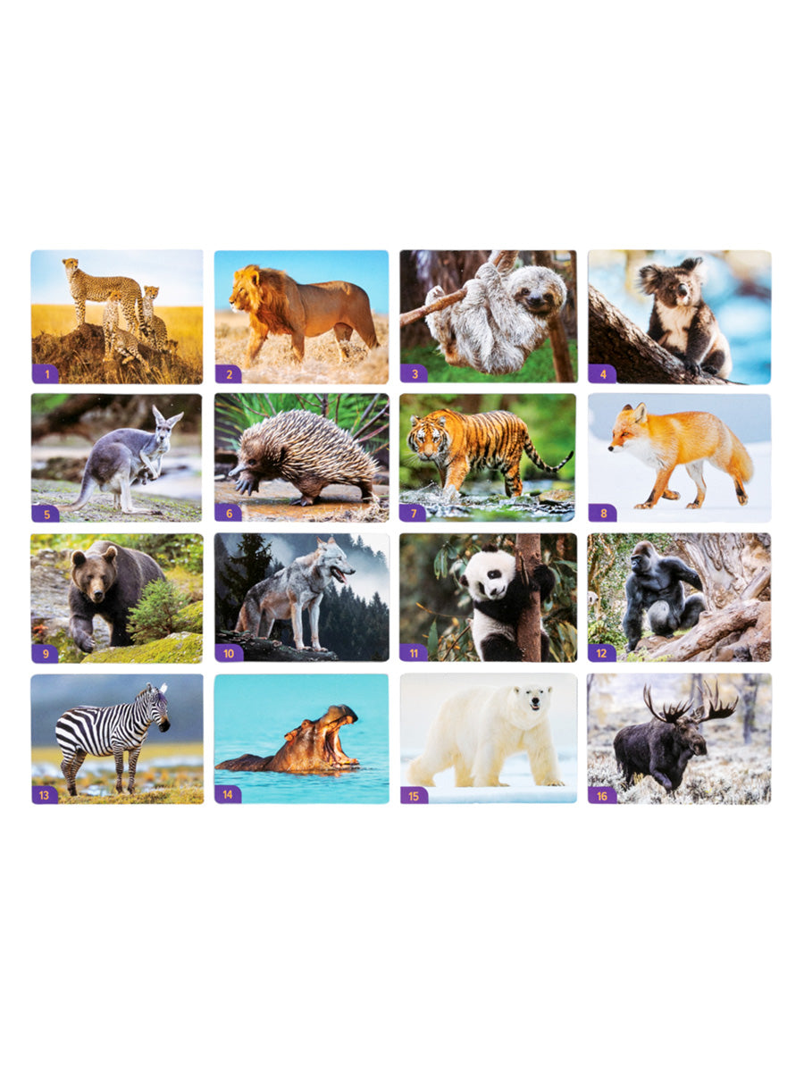 Игра настольная МЕМО "Мир животных" (32 cartes)