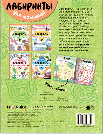 Лабиринты для малышей 2+. Il y a un programme