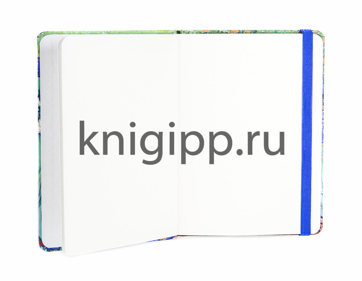 СКЕТЧБУК А5. Ван Гог. ИРИСЫ (выб.лак)
