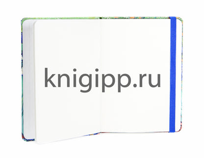 СКЕТЧБУК А5. Ван Гог. ИРИСЫ (выб.лак)