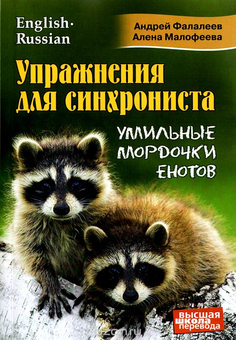 Mise en service de la synchronisation. Умильные мордочки енотов. Фалалеев А., Малофеева А.