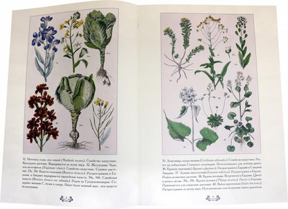 Ботанический атлас. Карл фон Гофман