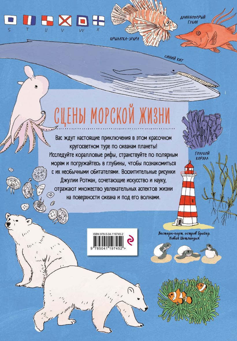 Анатомия океана. Занимательные детали жизни подводного мира