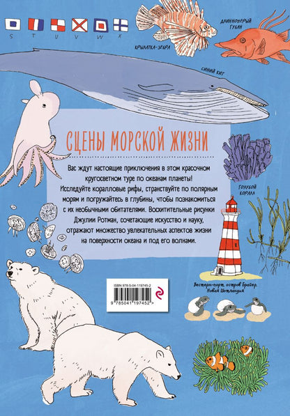 Анатомия океана. Занимательные детали жизни подводного мира