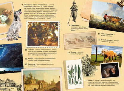 Хрестоматия. 6 класс