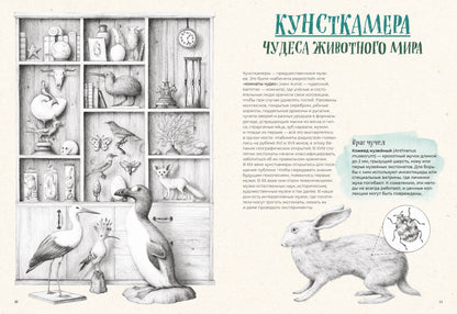 На грани исчезновения: животный мир Земли