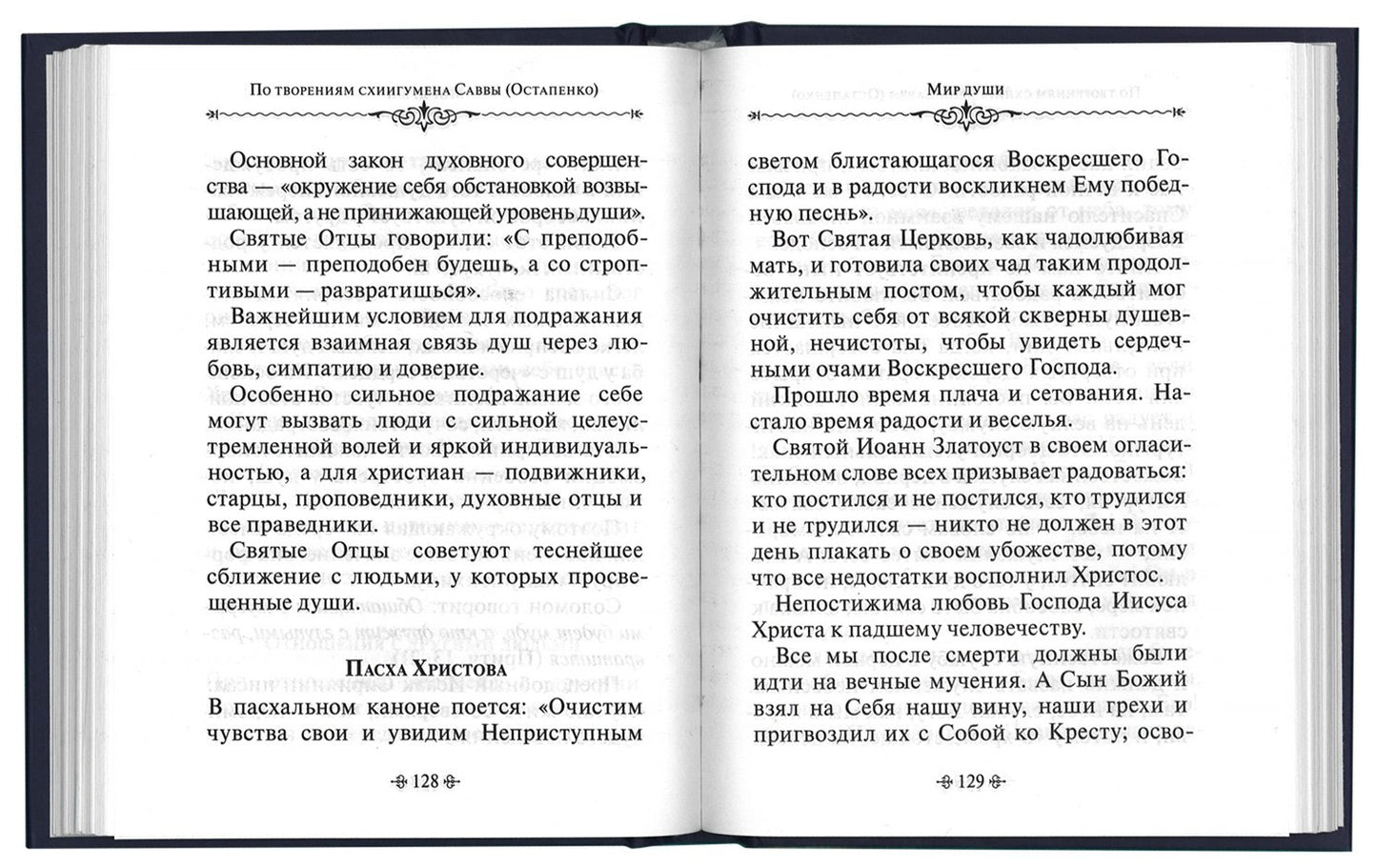 Мир души. По творениям схиигумена Саввы (Остапенко)