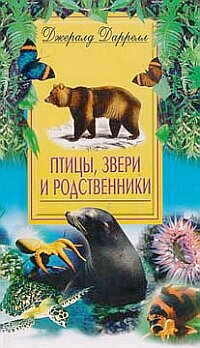 Птицы звери и родственники