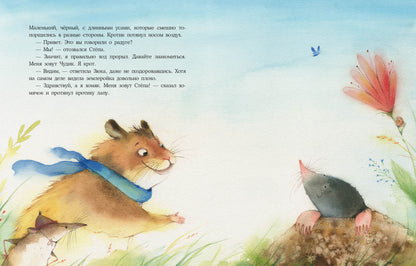 Радуга для Чудика : [сказка] / Н. Шицкая ; IL. О. A. Космодемьянской. —M. : Нигма, 2022. — 32 с. : IL. avec l'autographe