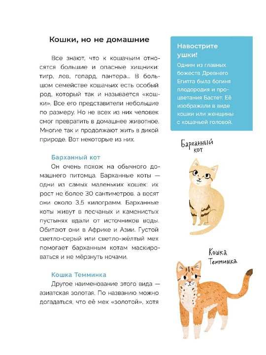 Хочу котенка! Je pense que c'est possible pour vous de prendre des photos