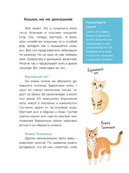 Хочу котенка! Je pense que c'est possible pour vous de prendre des photos
