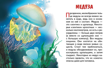 Карточки (европодвес). Морские животные ; Карточки (европодвес). Морские животные