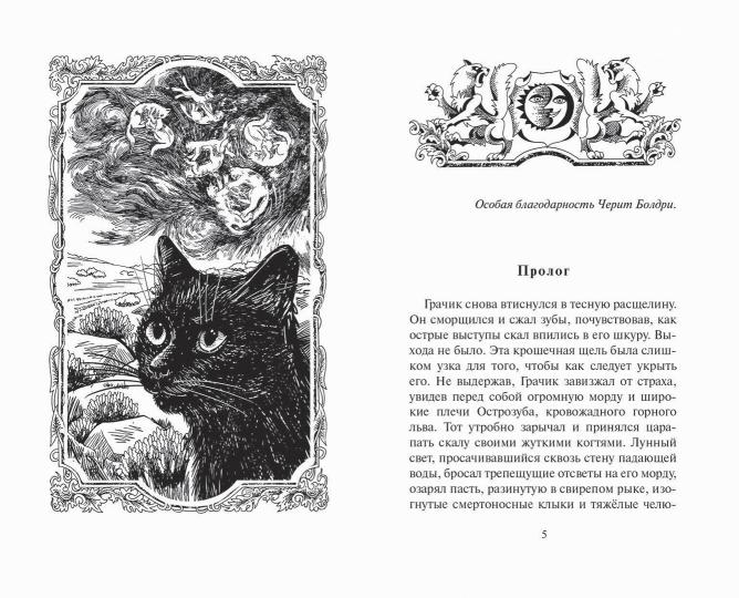 Коты воители. Испытание Грача. Le programme du tennis