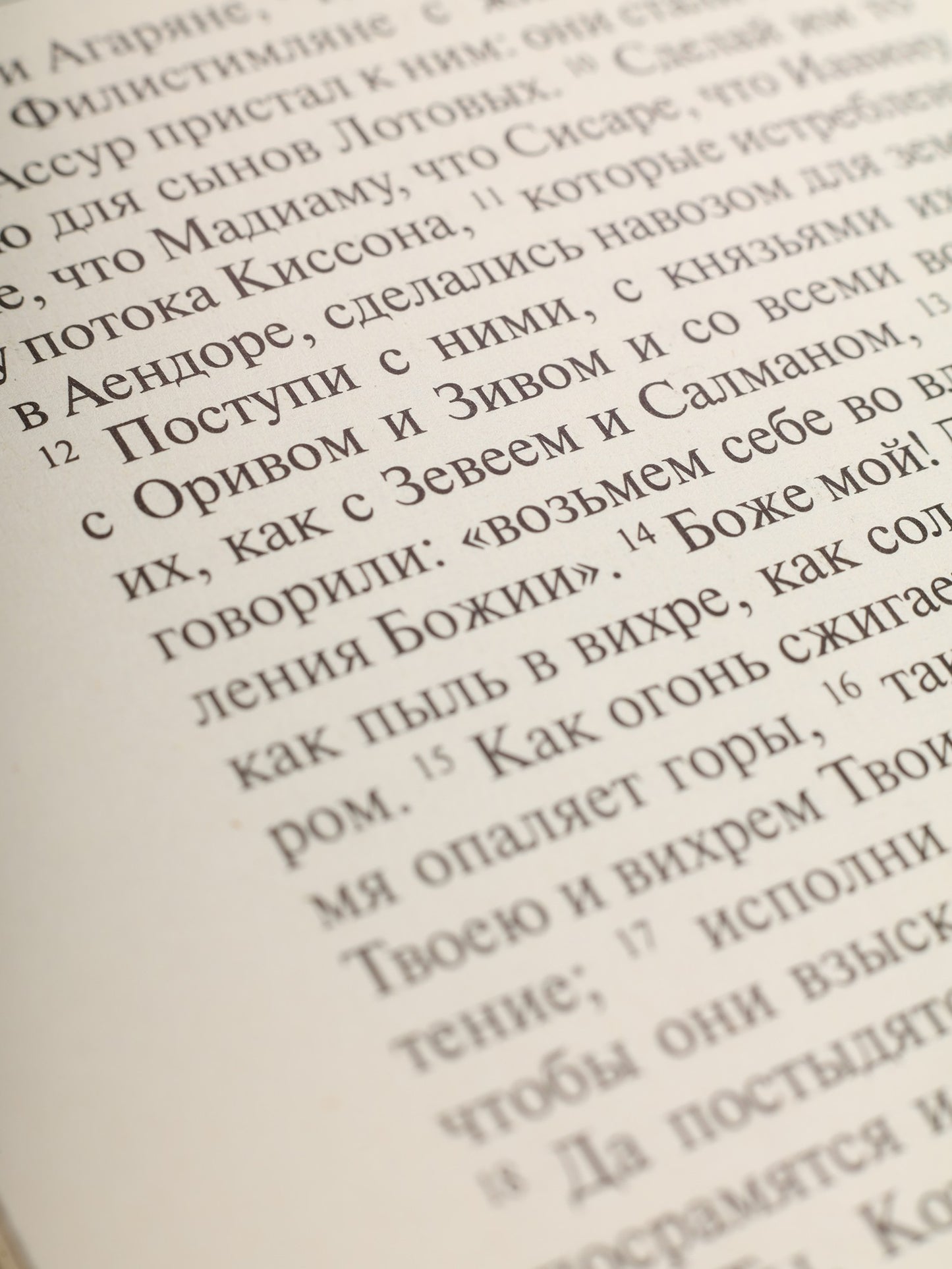 Библия. Книги Священного Писания Ветхого и Нового Завета (цв.зеленый)