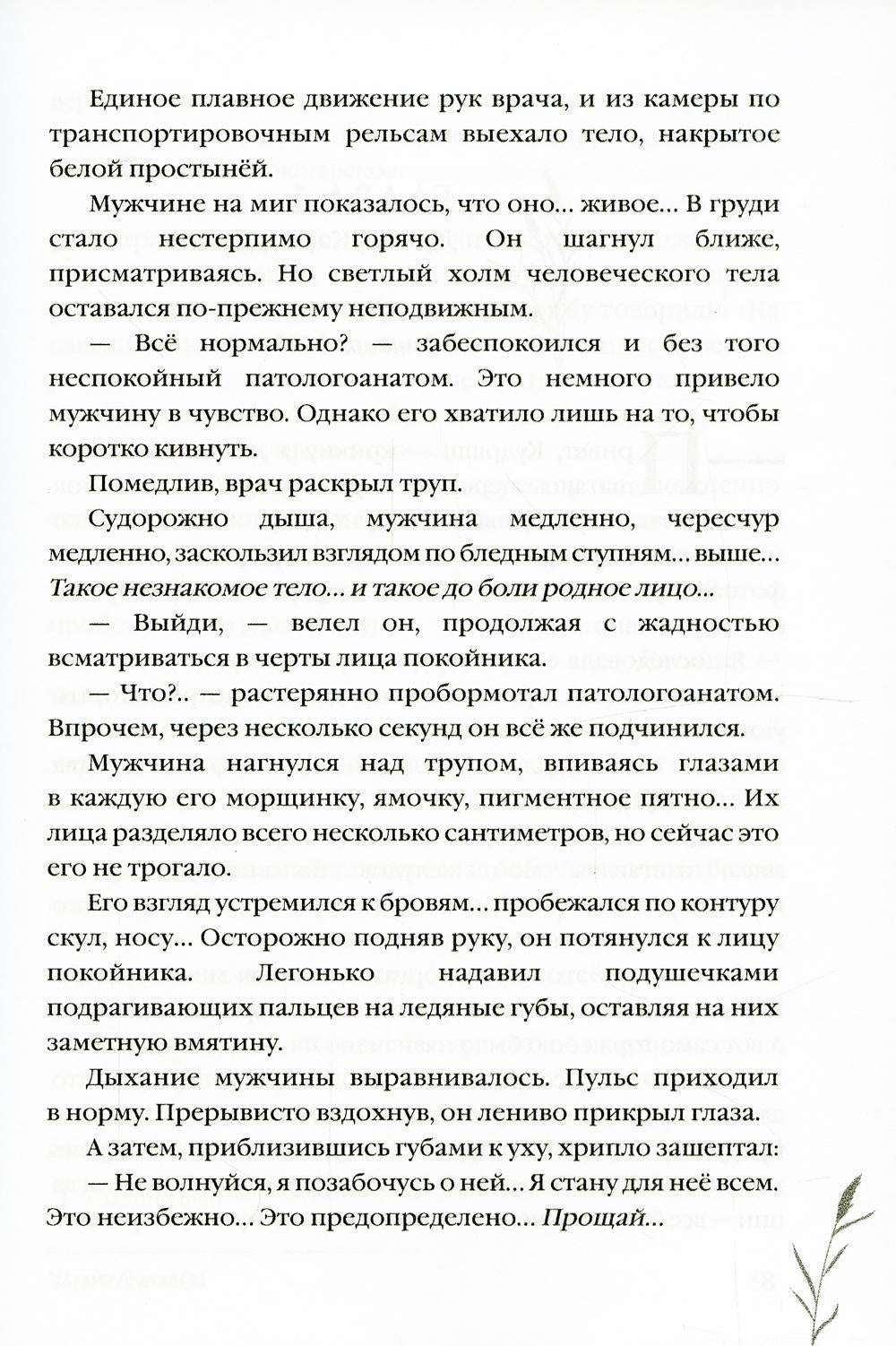 Shumel Kamysh