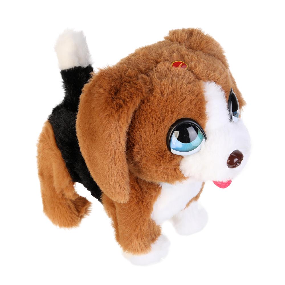 Le modèle interactif Rodjer 22 cm est mis à disposition, dans le corps. МОЙ ПИТОМЕЦ в кор.10шт