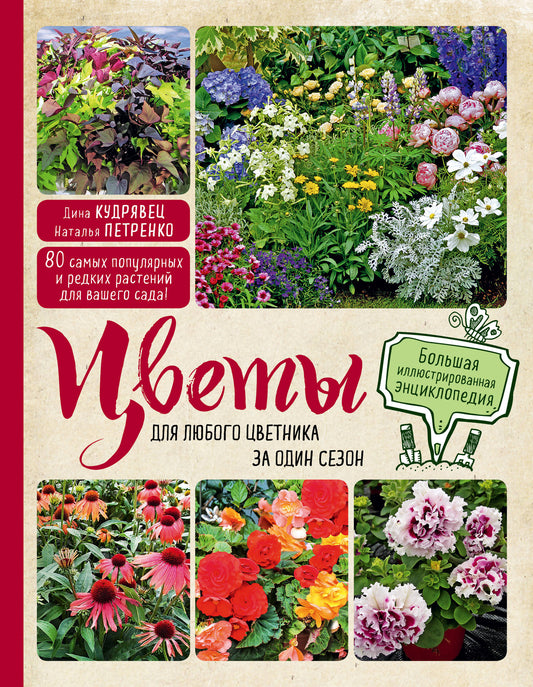 Les événements de la romance de la saison 2. Большая иллюстрированная энциклопедия