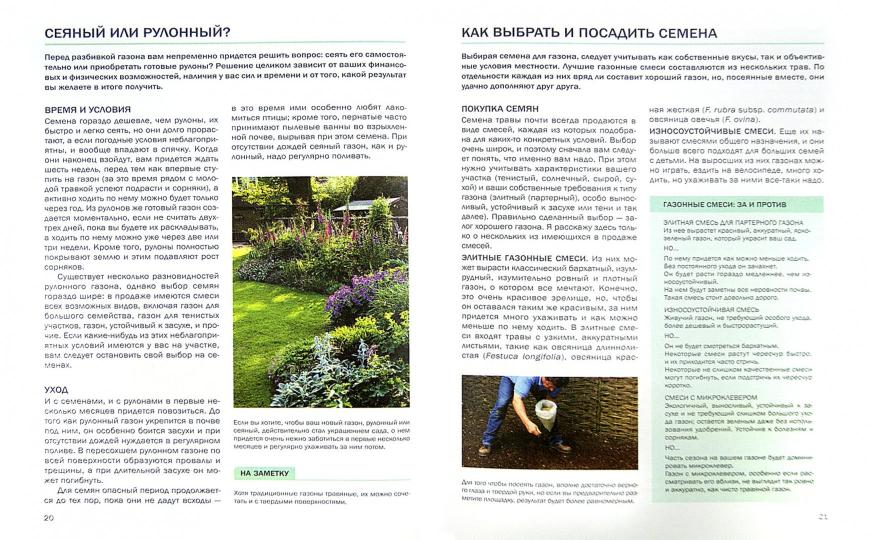 Газоны и лужайки